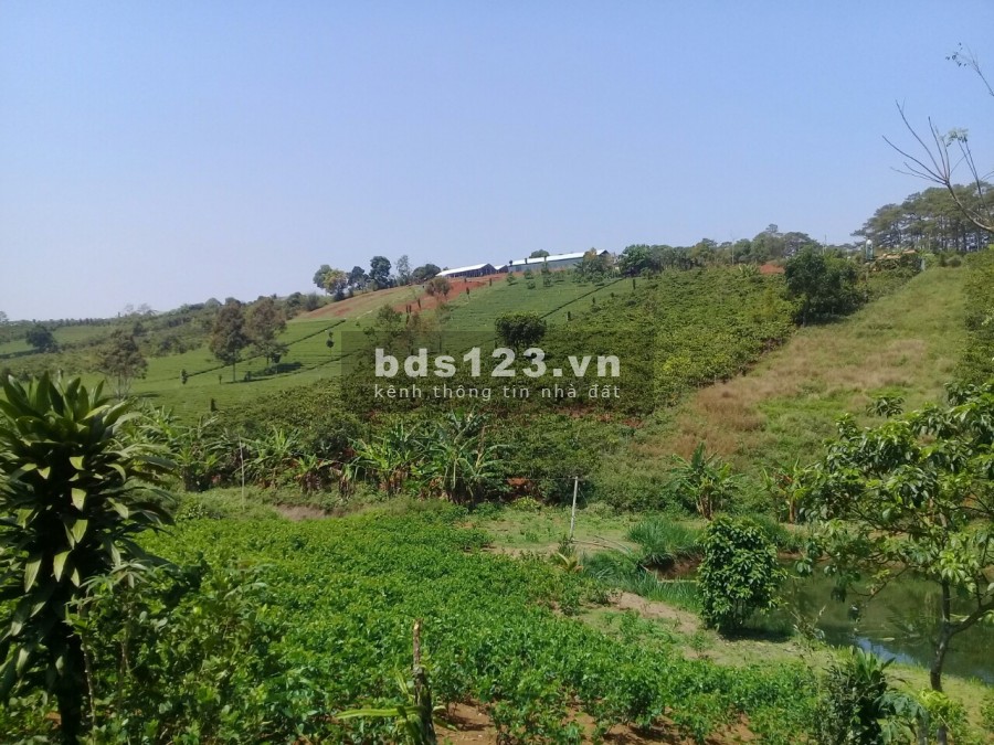 Cần bán gấp 2 sào đất thổ cư nghỉ dưỡng view hồ tuyệt đẹp tại Bảo Lộc chỉ 2tr/m2