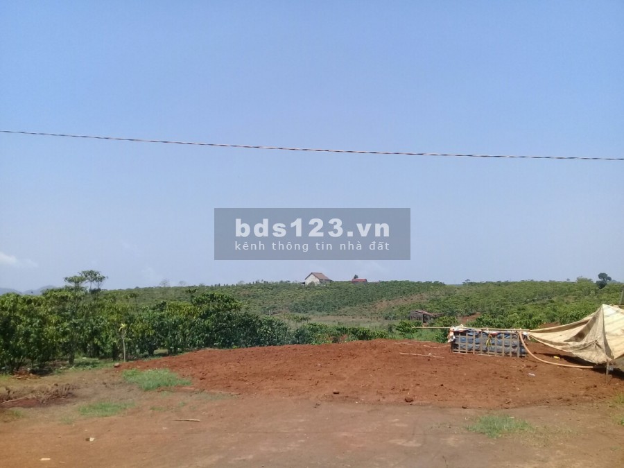 Cần bán gấp 2 sào đất thổ cư nghỉ dưỡng view hồ tuyệt đẹp tại Bảo Lộc chỉ 2tr/m2