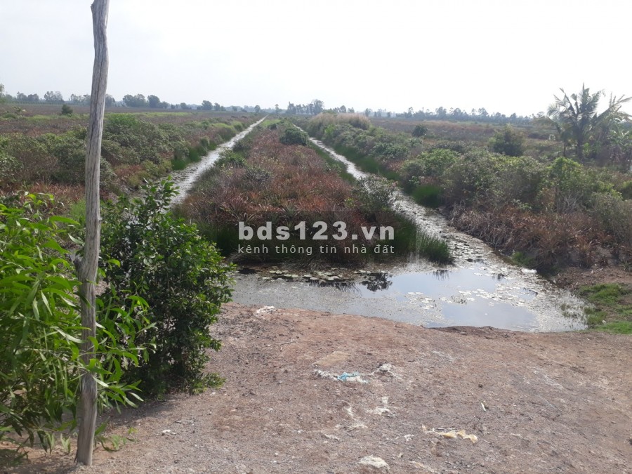 Bán đất trồng khóm 1.6 hecta gần Thiền Viện Trúc Lâm giá rẻ
