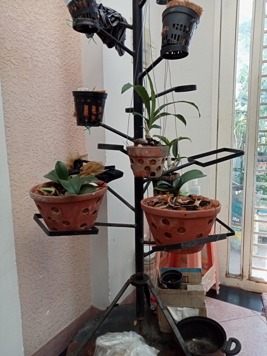 Bán Nhà Hoàng Văn Thụ, DT48m, 4T, 5 PN, 5.5 tỷ