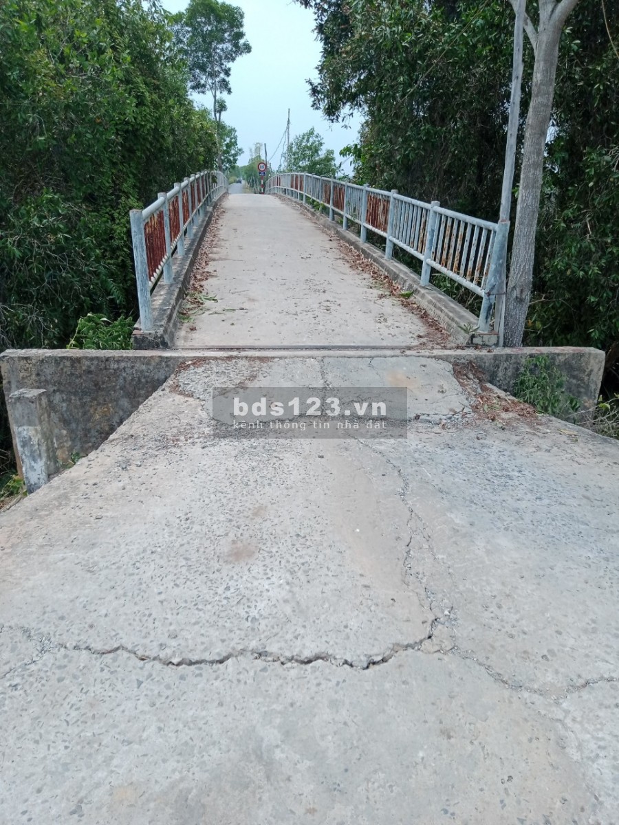 Bán đất trồng khóm 1.6 hecta gần Thiền Viện Trúc Lâm giá rẻ