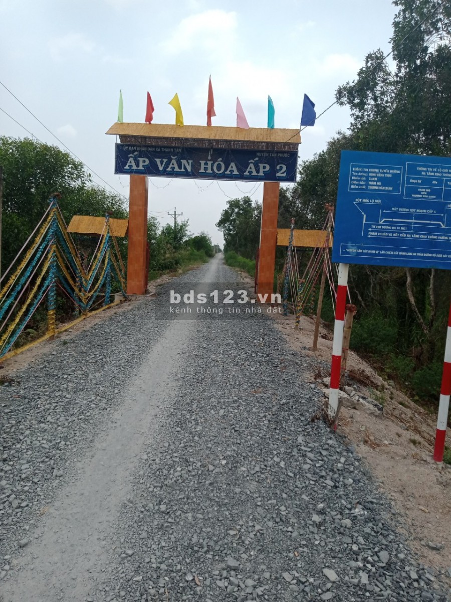 Bán đất trồng khóm 1.6 hecta gần Thiền Viện Trúc Lâm giá rẻ