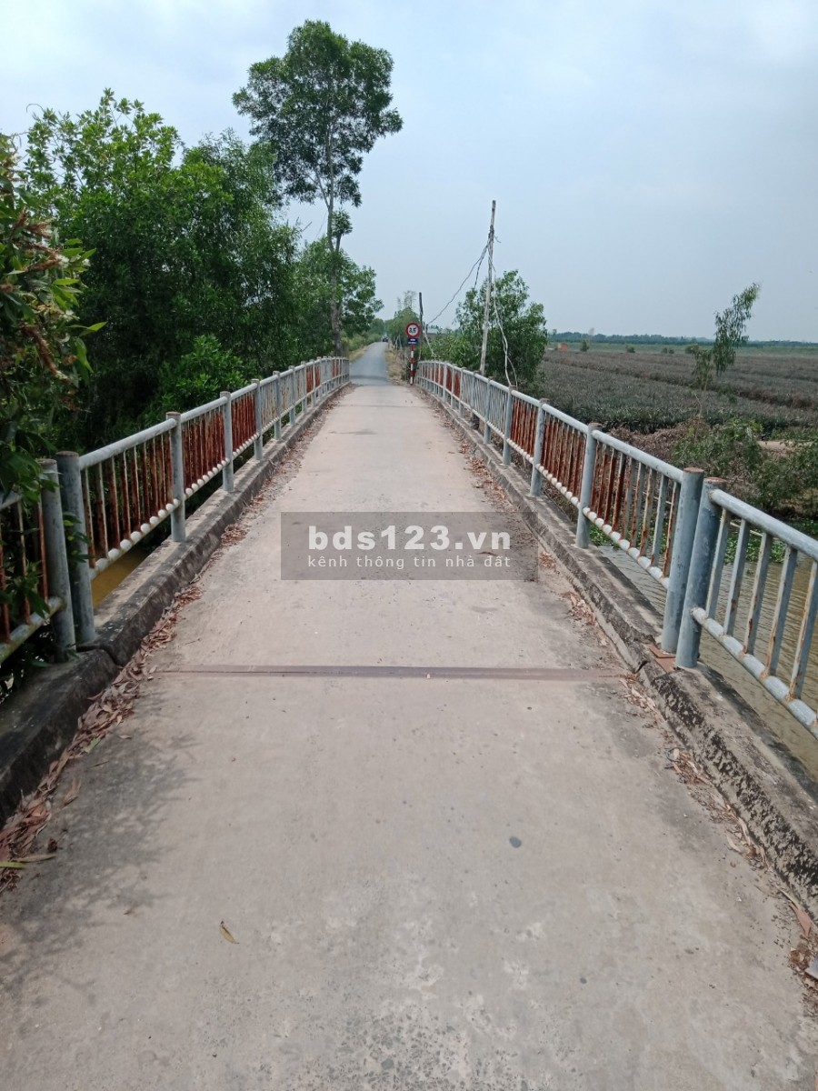 Bán đất trồng khóm 1.6 hecta gần Thiền Viện Trúc Lâm giá rẻ