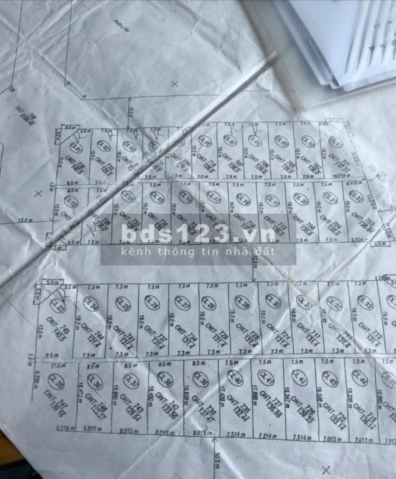 Bán lô đất đối diện cổng chợ Đức Ninh, 8 x 17m, Đông Nam, giá tốt để đầu tư