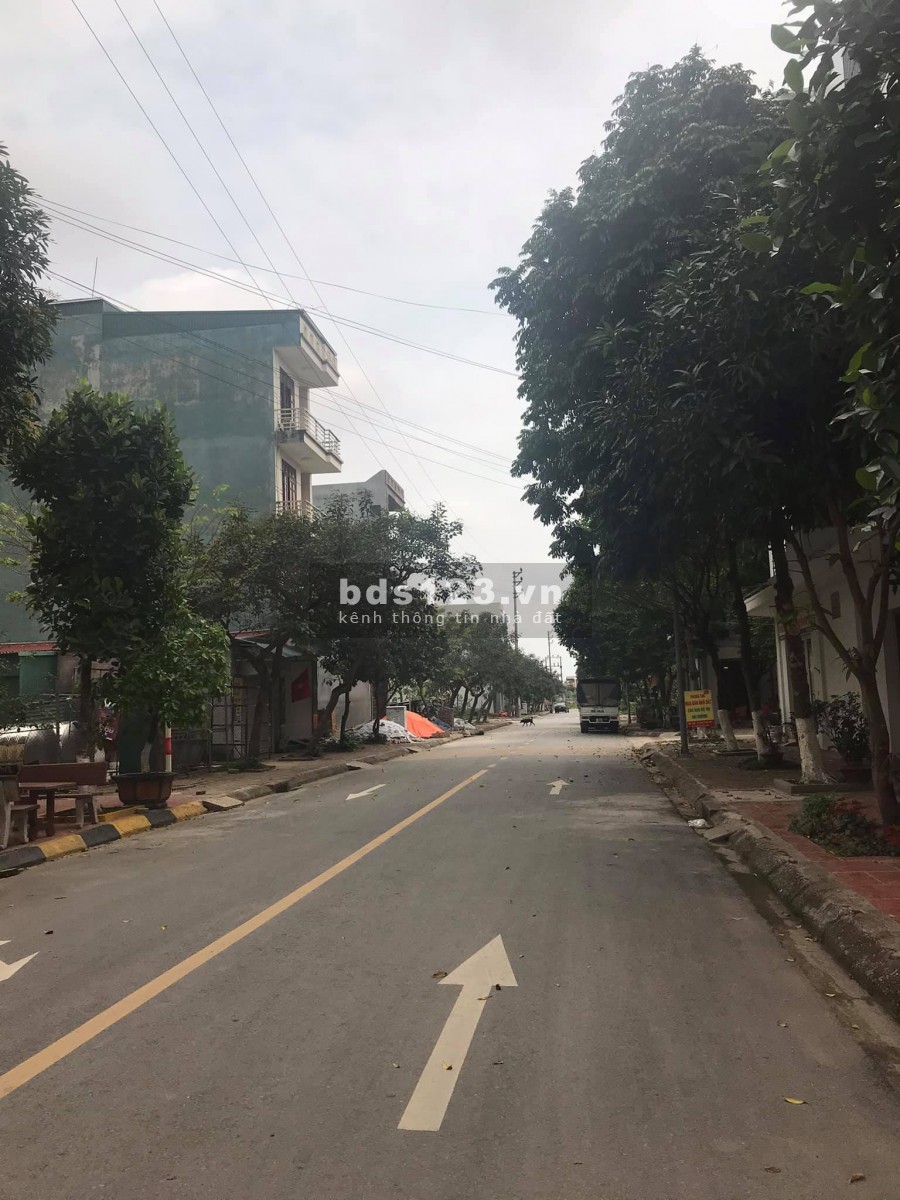 Bán đất đường Dã Quỳ, Đại An 1, TP HD, 73.12m2, mt 4.5m, hướng Tây, 1.45 tỷ