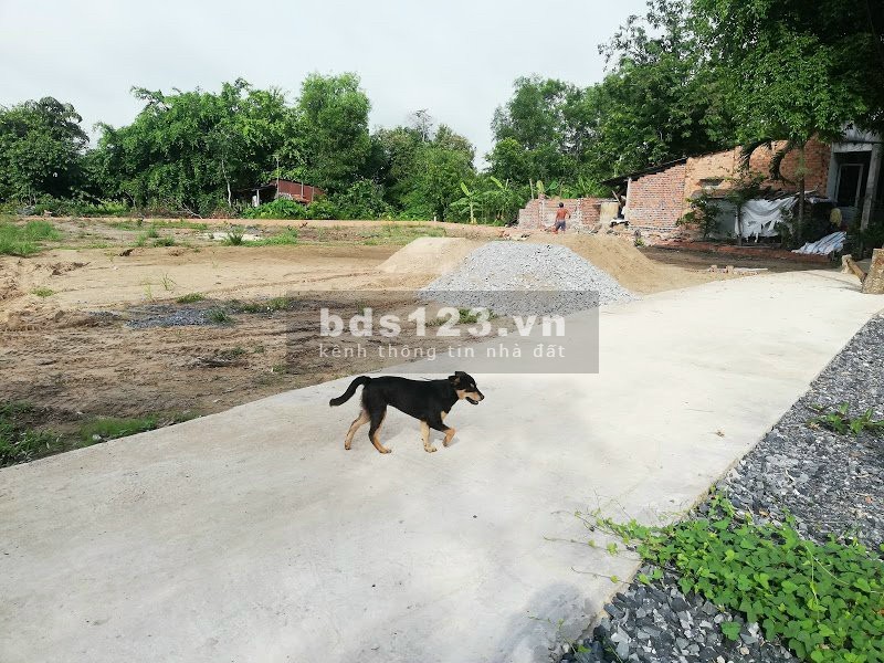 Đất Sát 2 Trường Học Quốc Lộ 22 Phước Trạch Gò Dầu SHR