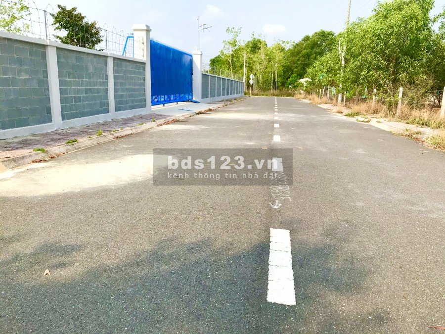 Sân bay Long Thành tâm điểm của NĐT trong nước và quốc tế.