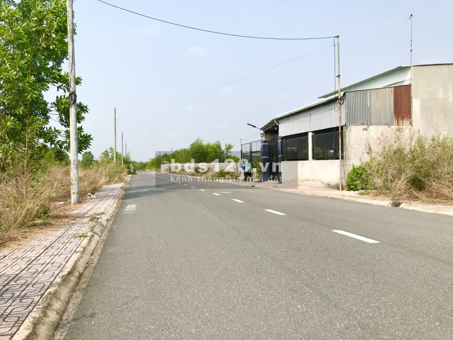 Sân bay Long Thành tâm điểm của NĐT trong nước và quốc tế.