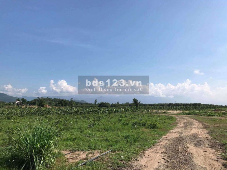 CHÍNH CHỦ BÁN GẤP 7000M2, MẶT TIỀN ĐƯỜNG NHỰA LỚN, DÂN ĐÔNG, CẠNH KHU CHỢ SẮP XÂY DỰNG 470TR