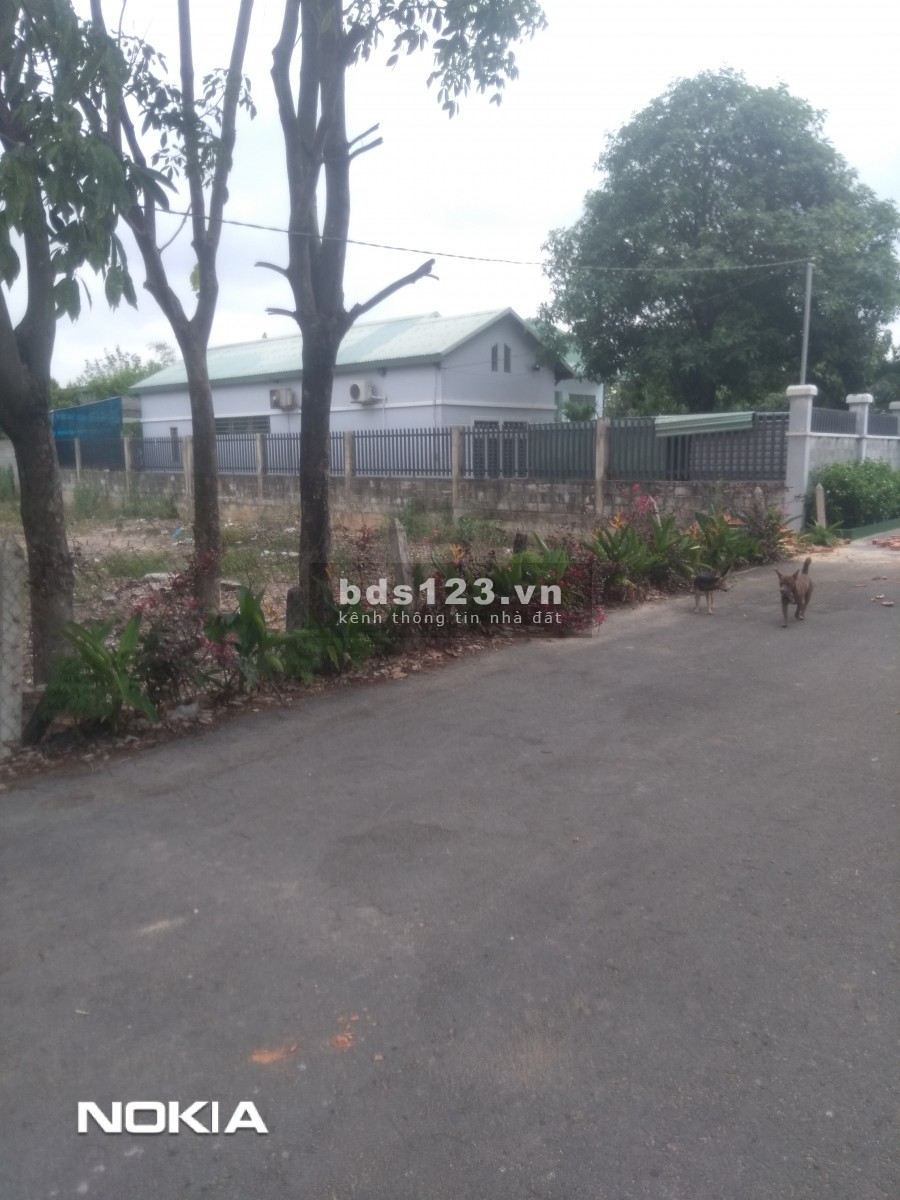 Bán gấp Thủ Dầu Một BD. 535m². TC 100m²