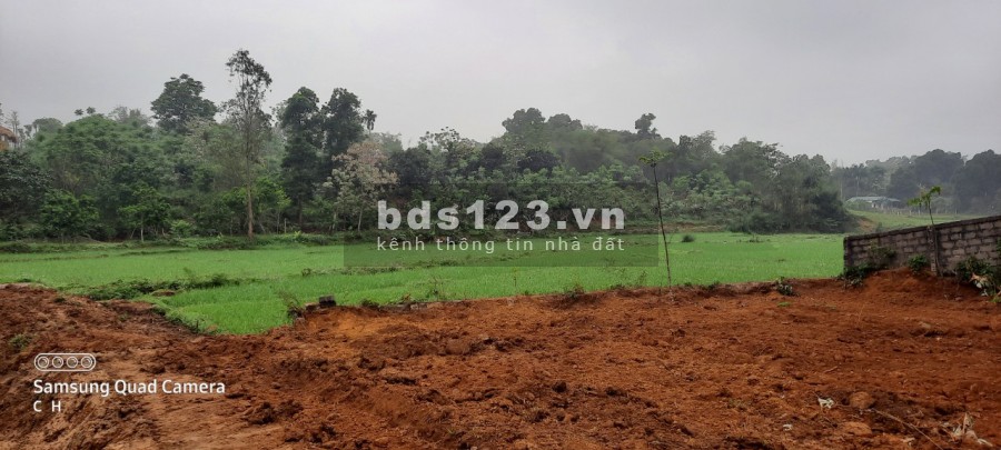 Cần bán gấp lô đất khu vực Yên Cư Lương Sơn, Hoà Bình, dt 4000m2, 100m2 thổ cư, giá 5,6 tỷ
