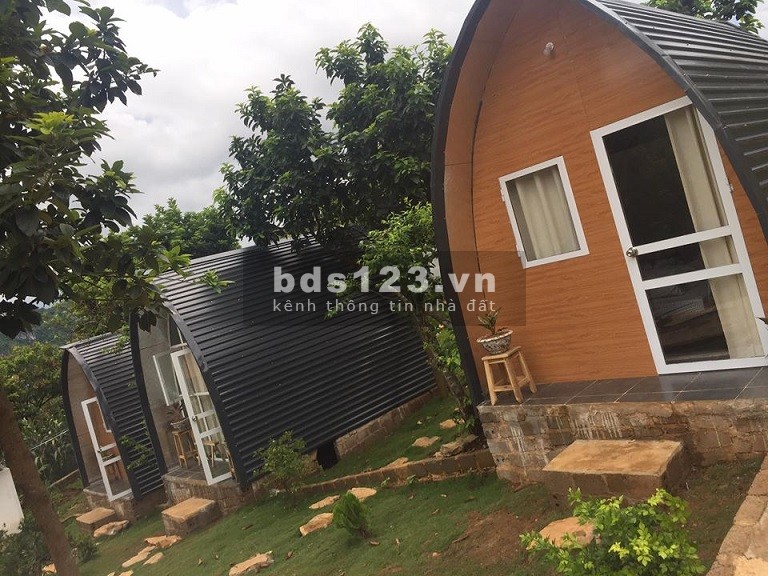 Gia đình không còn tài chính chữa bệnh nay đội nón ra đi gấp lô đất lấy tiền viện phí