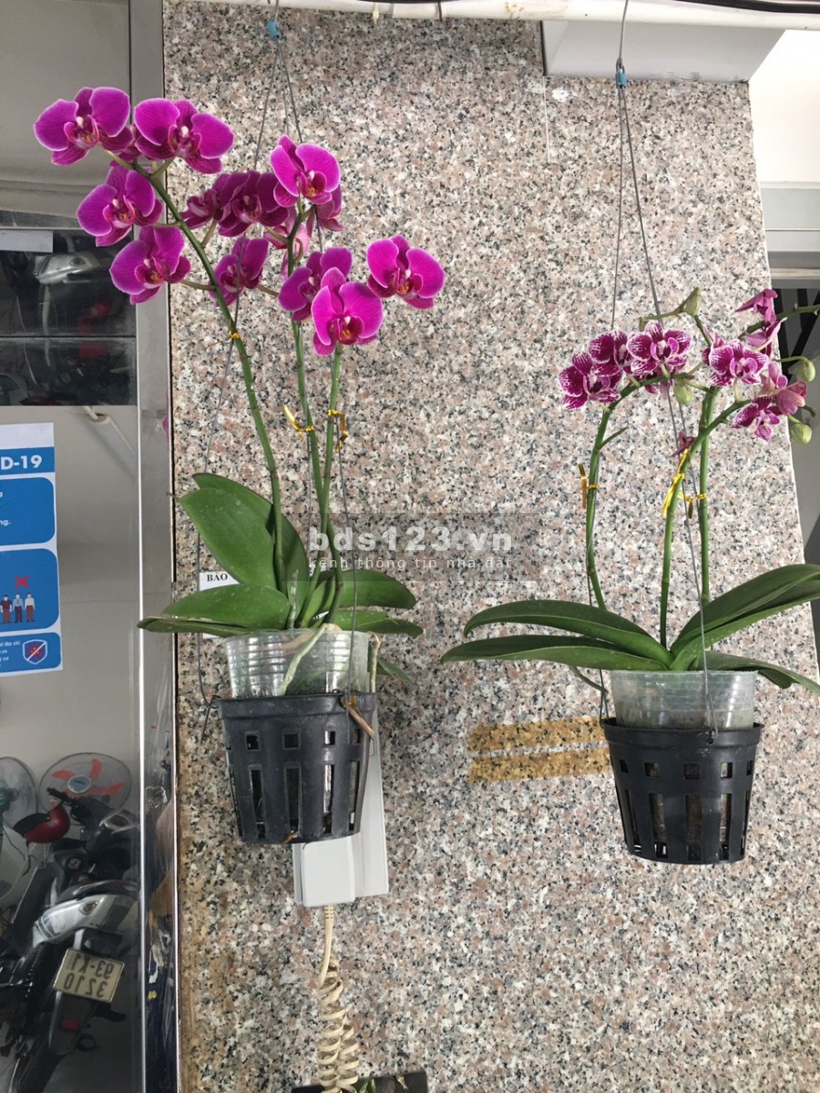 Căn hộ VIP ven biển Đà Nẵng - giá Yêu thương nhé. LH ngay: 0983750220 để được tư vấn cụ thể