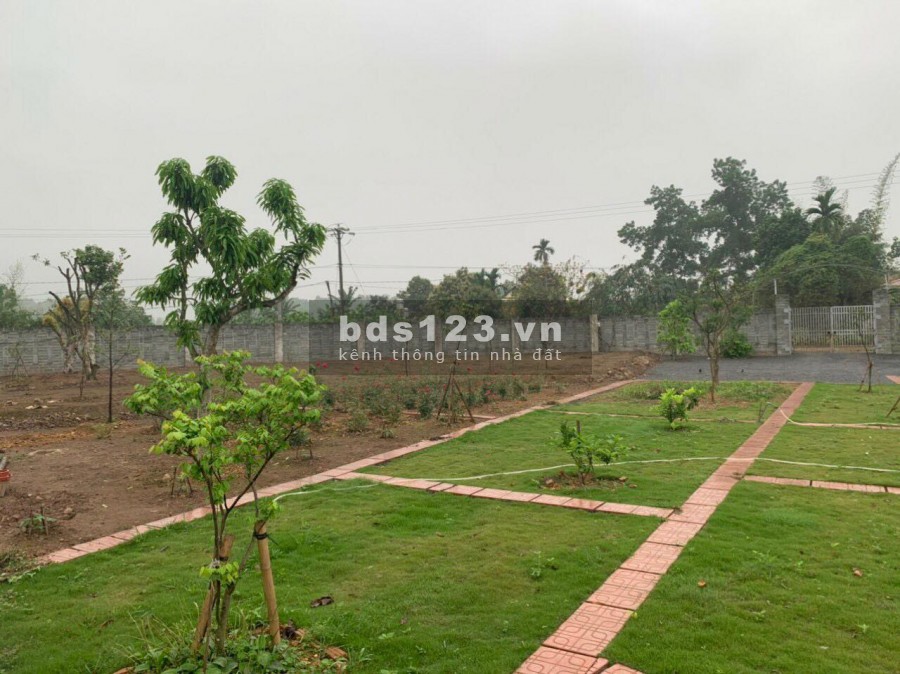 BÁN ĐẤT LƯƠNG SƠN - HÒA BÌNH - DT 2500M SẴN KHUÔN VIÊN GIÁ SIÊU RẺ