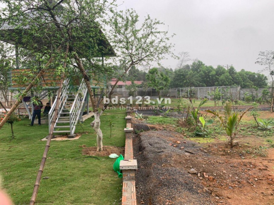 BÁN ĐẤT LƯƠNG SƠN - HÒA BÌNH - DT 2500M SẴN KHUÔN VIÊN GIÁ SIÊU RẺ