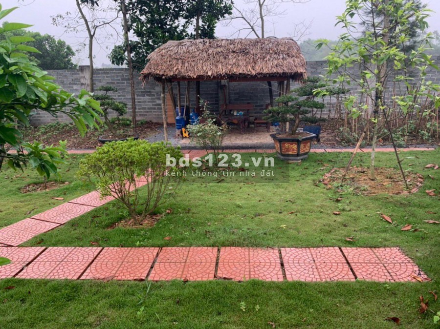 BÁN ĐẤT LƯƠNG SƠN - HÒA BÌNH - DT 2500M SẴN KHUÔN VIÊN GIÁ SIÊU RẺ