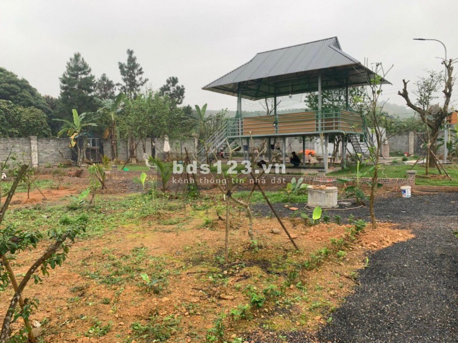 BÁN ĐẤT LƯƠNG SƠN - HÒA BÌNH - DT 2500M SẴN KHUÔN VIÊN GIÁ SIÊU RẺ