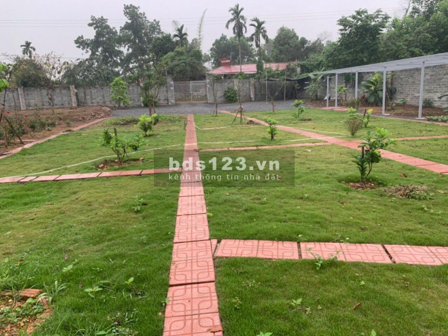 BÁN ĐẤT LƯƠNG SƠN - HÒA BÌNH - DT 2500M SẴN KHUÔN VIÊN GIÁ SIÊU RẺ