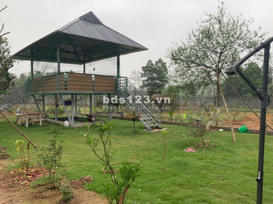 BÁN ĐẤT LƯƠNG SƠN - HÒA BÌNH - DT 2500M SẴN KHUÔN VIÊN GIÁ SIÊU RẺ