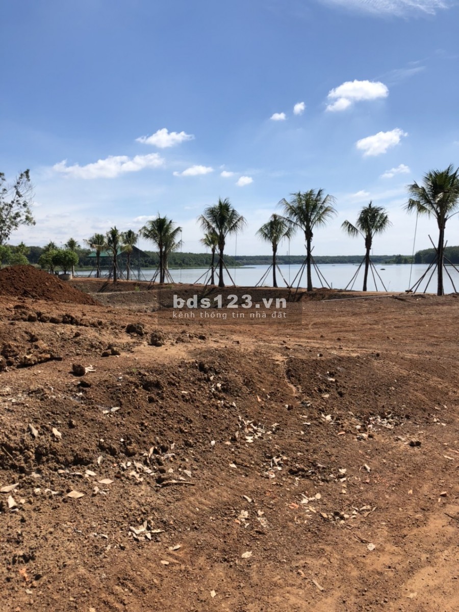 Chính Chủ Cần bán 1000m2 Đất, Gần KCN Becamex, TT Hành Chính