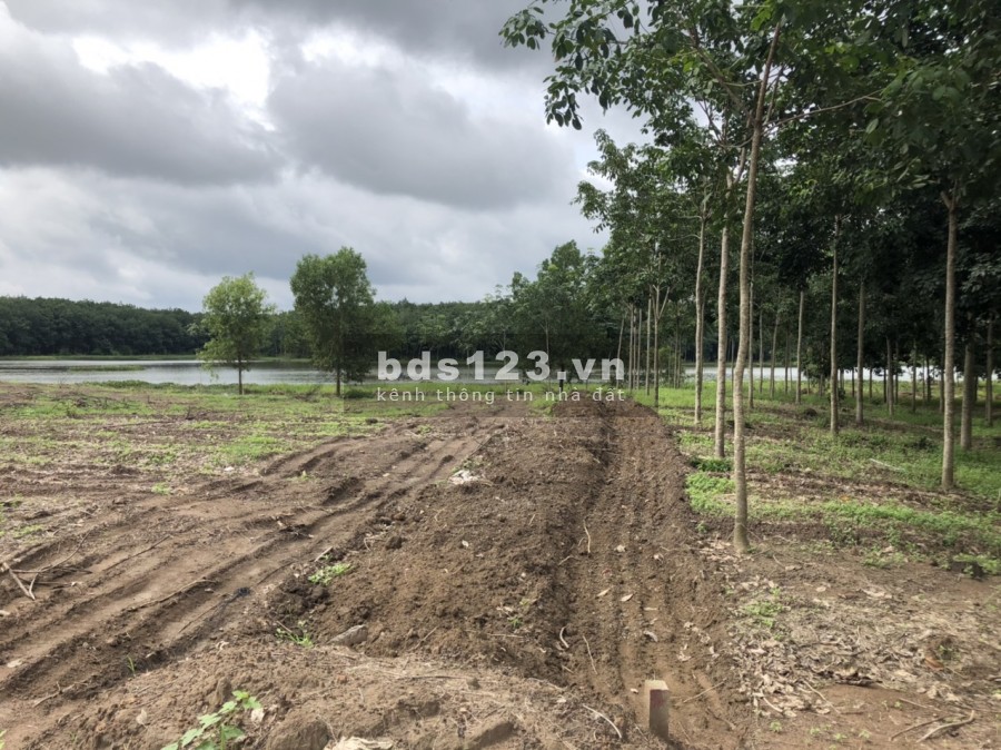 Chính Chủ Cần bán 1000m2 Đất, Gần KCN Becamex, TT Hành Chính
