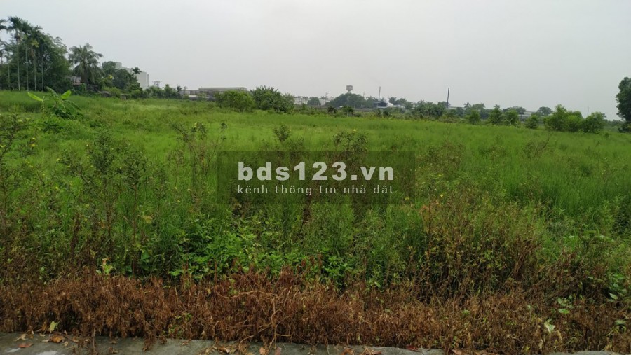 Sang nhượng cả cụm công nghiệp Thanh Hóa