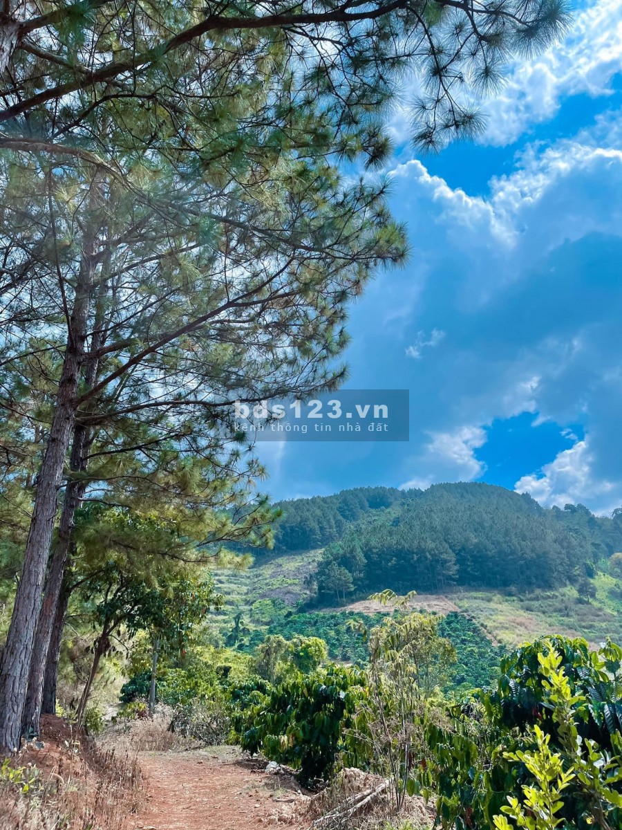 ĐẤT NGHỈ DƯỠNG VEN ĐÀ LẠT CHỈ TỪ 1.7 TRIỆU/M2 VIEW ĐẸP