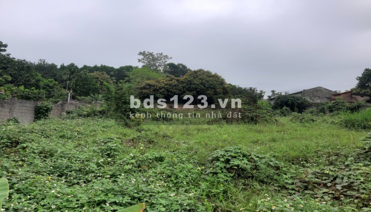 Đất Nhuận Trạch Lương Sơn Hoà Binh, lên giá từng ngày, cơ hội lớn để đầu tư, giá bán 2.2 tỷ