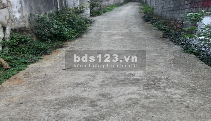 Đất Nhuận Trạch Lương Sơn Hoà Binh, lên giá từng ngày, cơ hội lớn để đầu tư, giá bán 2.2 tỷ