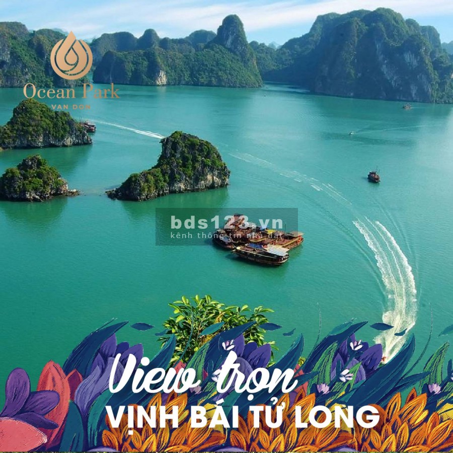 Đất nền trung tâm thị trấn Cái Rồng, dự án sở hữu bãi tắm riêng.