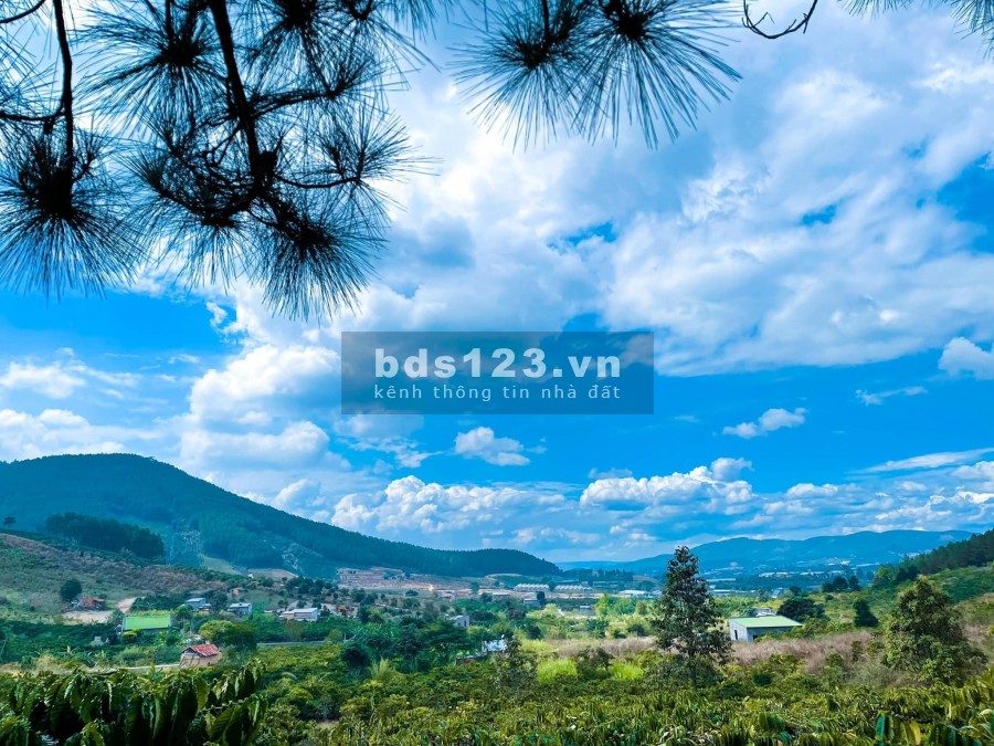 ĐẤT NGHỈ DƯỠNG VEN ĐÀ LẠT CHỈ TỪ 1.7 TRIỆU/M2 VIEW ĐẸP