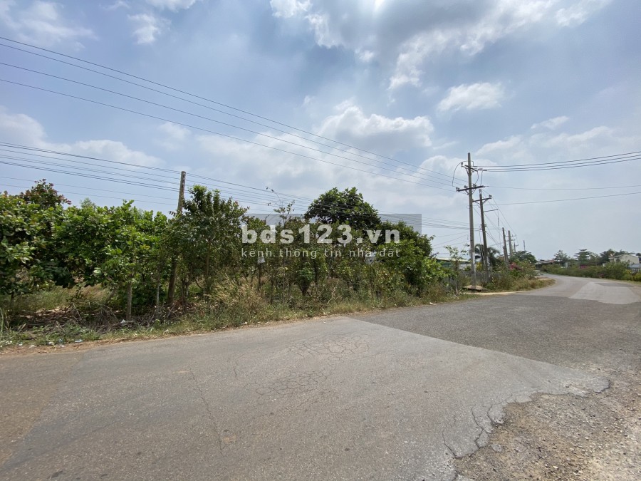 Bán đất Long Thành giá tốt gần 3 khu công nghiệp