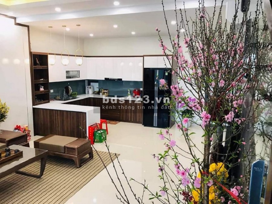 Bán nhà mặt phố Tôn Đức Thắng. Vỉa hè, oto, KD. 120m2 8T thang máy, 28 tỷ