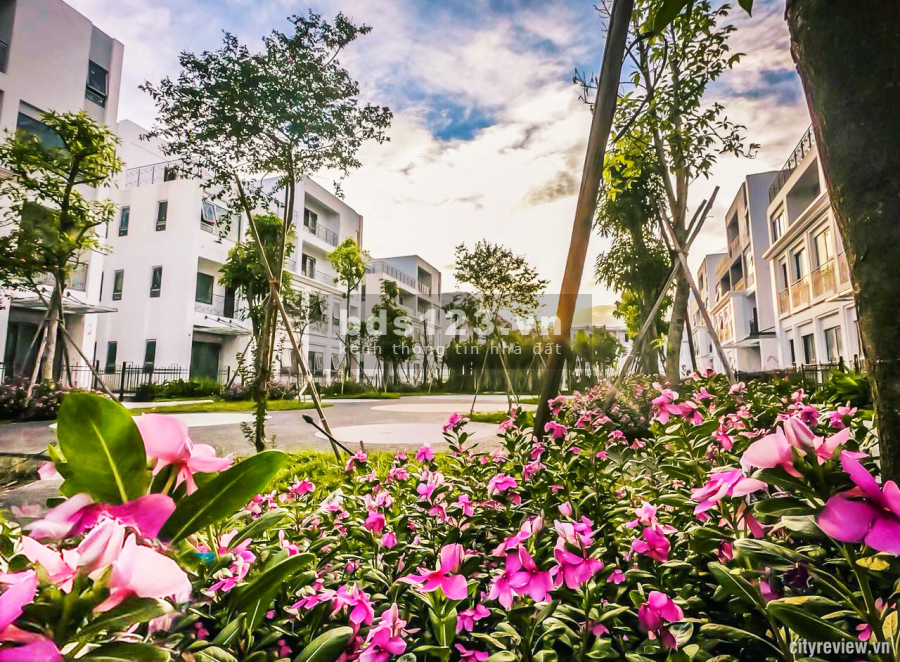 Nhà Phố Liền Kề The Manor Central Park - Quận Hoàng Mai - Hà Nội