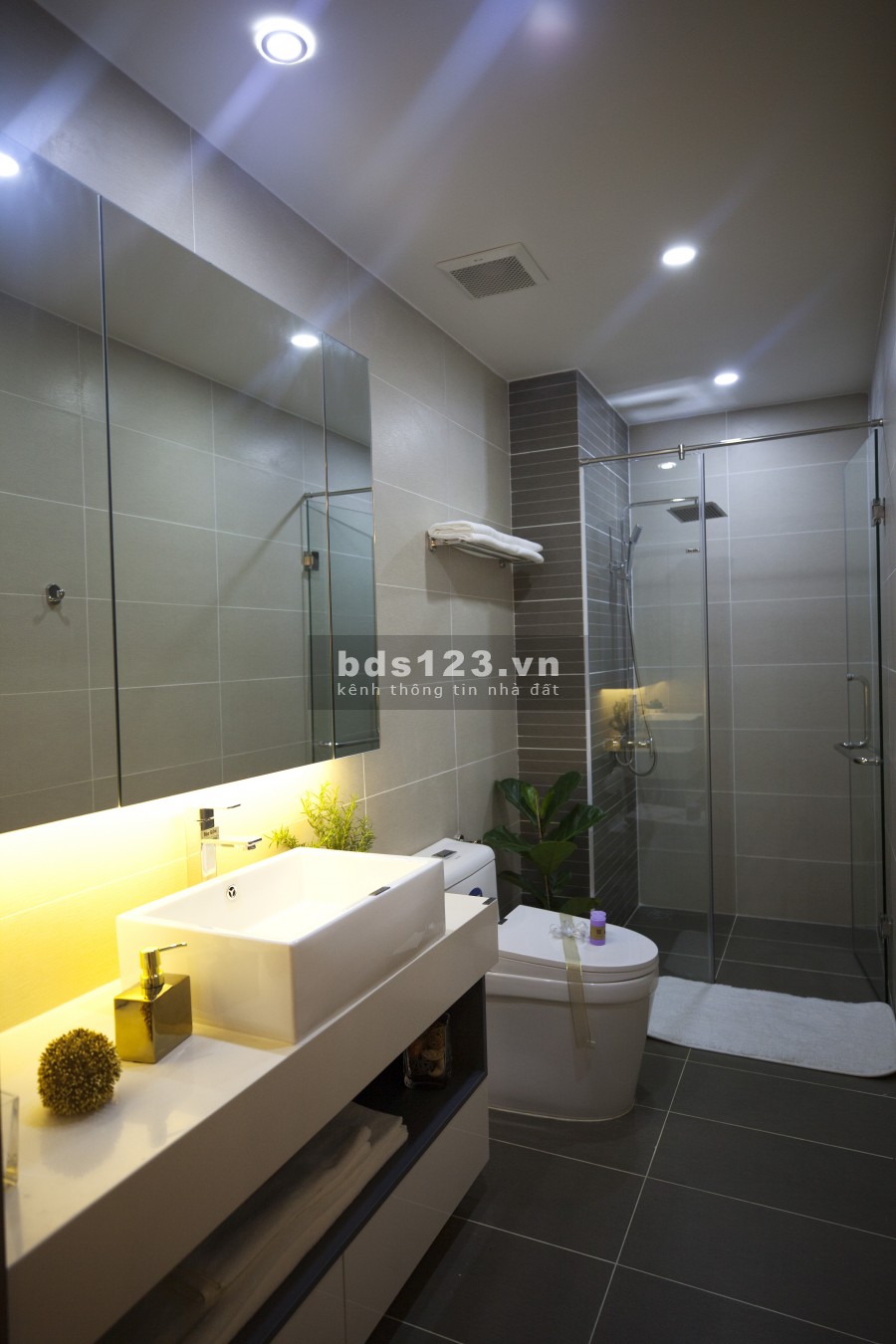 Căn hộ trung tâm Q. 6 2 phòng ngủ - 1WC chỉ cần thanh toán 850 triệu