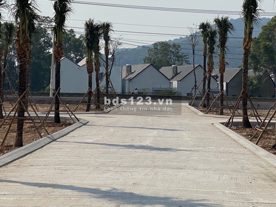 Một siêu phẩm vàng trong lòng đất đảo