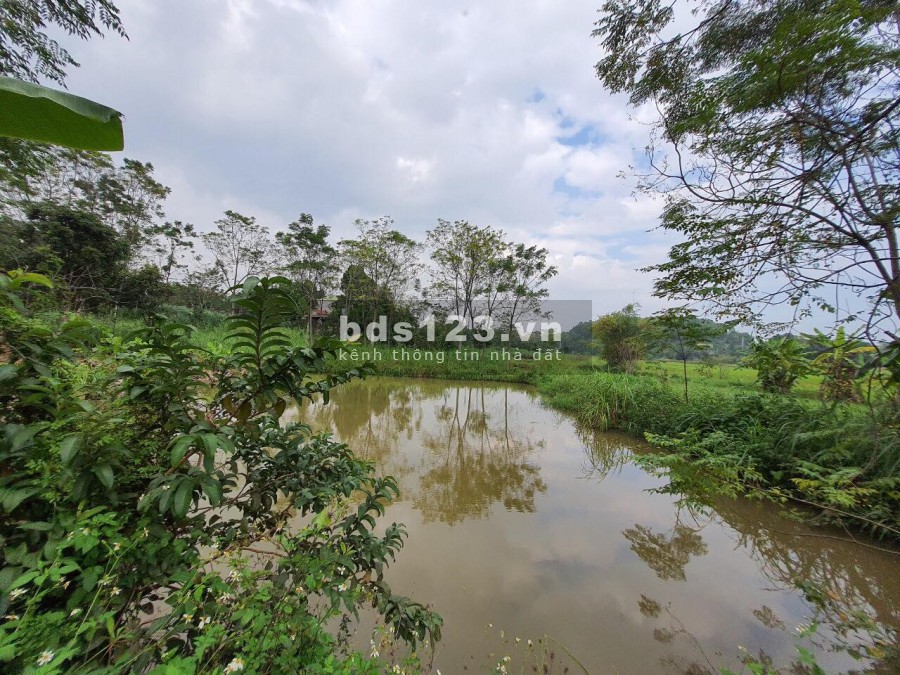 Cần bán nhanh lô nghỉ dưỡng tại Yên Bài 1893m - 150m2 đất ở