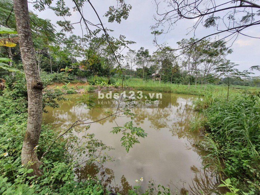 Cần bán nhanh lô nghỉ dưỡng tại Yên Bài 1893m - 150m2 đất ở