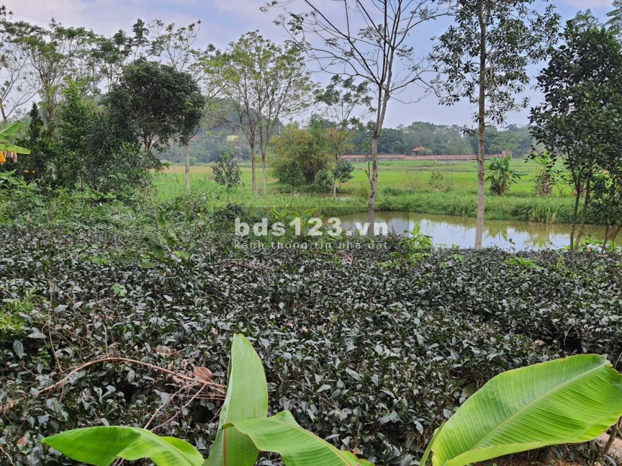 Cần bán nhanh lô nghỉ dưỡng tại Yên Bài 1893m - 150m2 đất ở