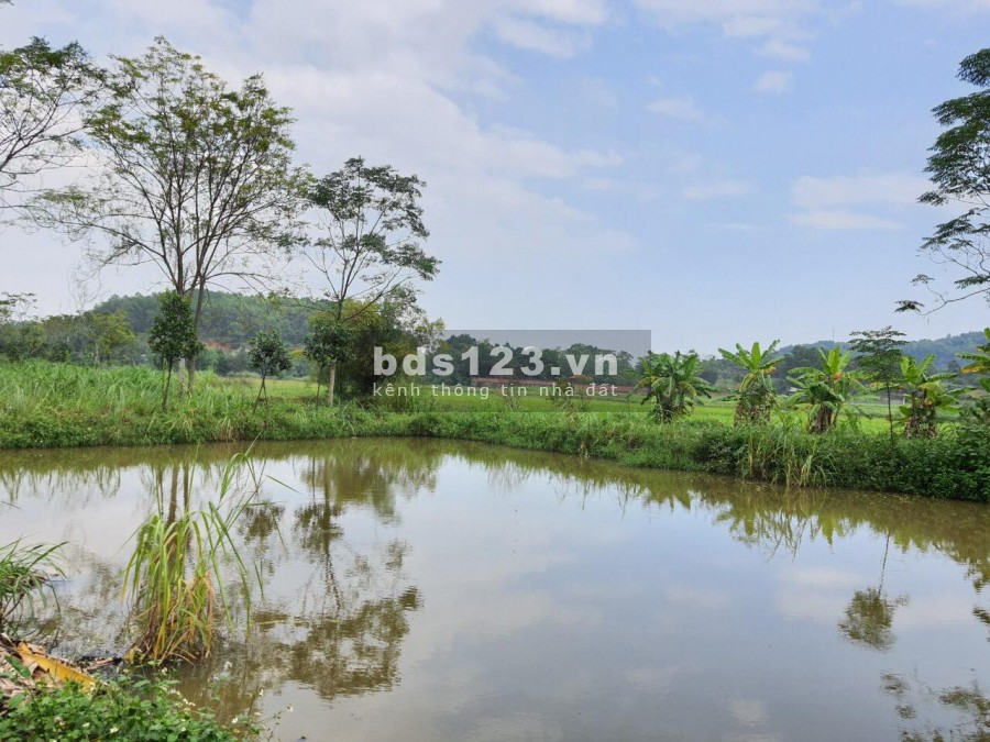 Cần bán nhanh lô nghỉ dưỡng tại Yên Bài 1893m - 150m2 đất ở