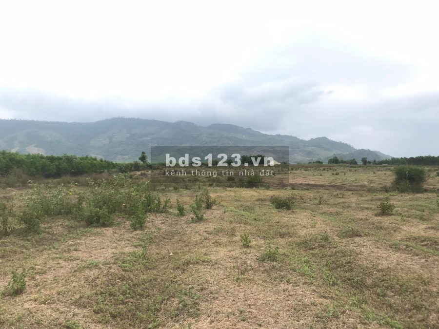 Bán đất có qh thổ rộng 13ha đường nhựa giá rẻ LH 0788.558.552