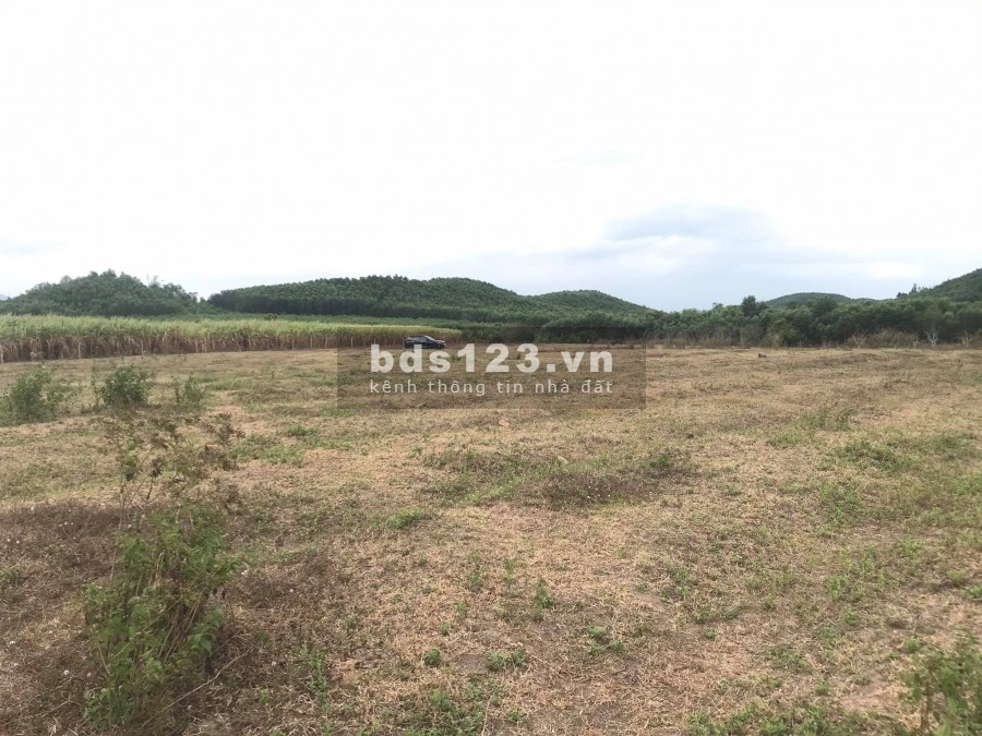 Bán đất có qh thổ rộng 13ha đường nhựa giá rẻ LH 0788.558.552