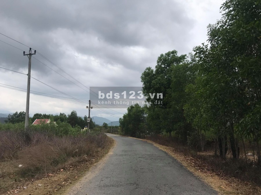 Bán đất có qh thổ rộng 13ha đường nhựa giá rẻ LH 0788.558.552