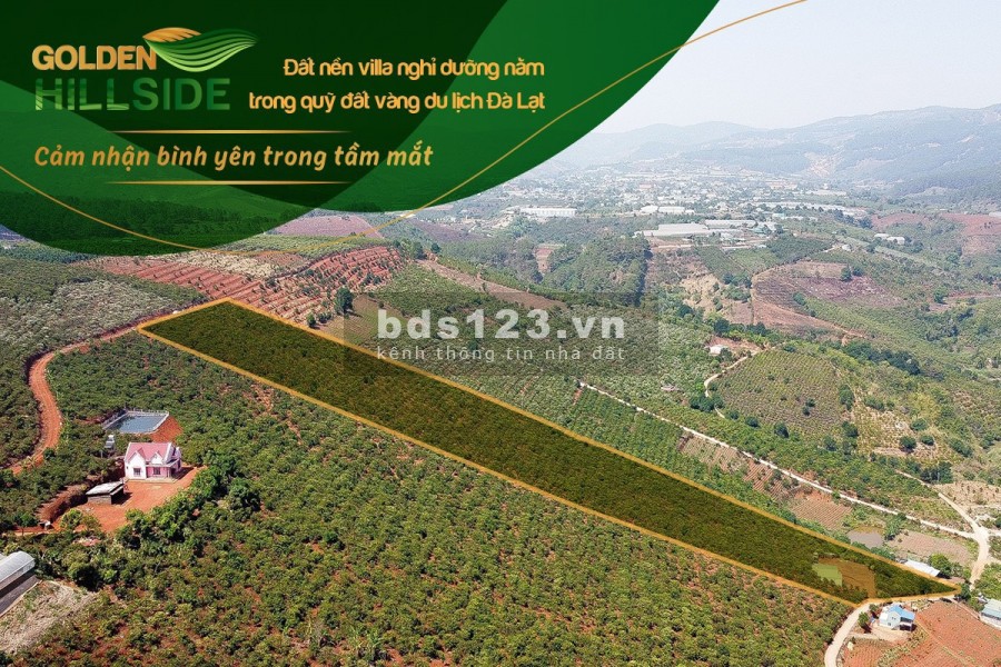 ĐẤT VÀNG CẠNH CAFÉ MÊ LINH CHỈ TỪ 3 TRIỆU/M2