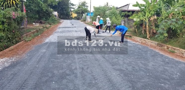 Cần nhượng gấp 1178m2 gần ngay chợ và UBND Tân Phước đi vào