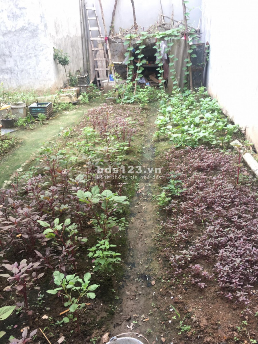 Bán đất Cửu Việt 2 Trung tâm Trâu Quỳ Ô tô lùi dt 65m2 vuông đét. 0982852808