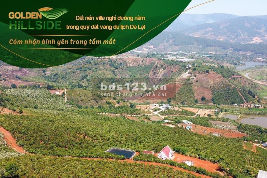 ĐẤT VÀNG CẠNH CAFÉ MÊ LINH CHỈ TỪ 3 TRIỆU/M2