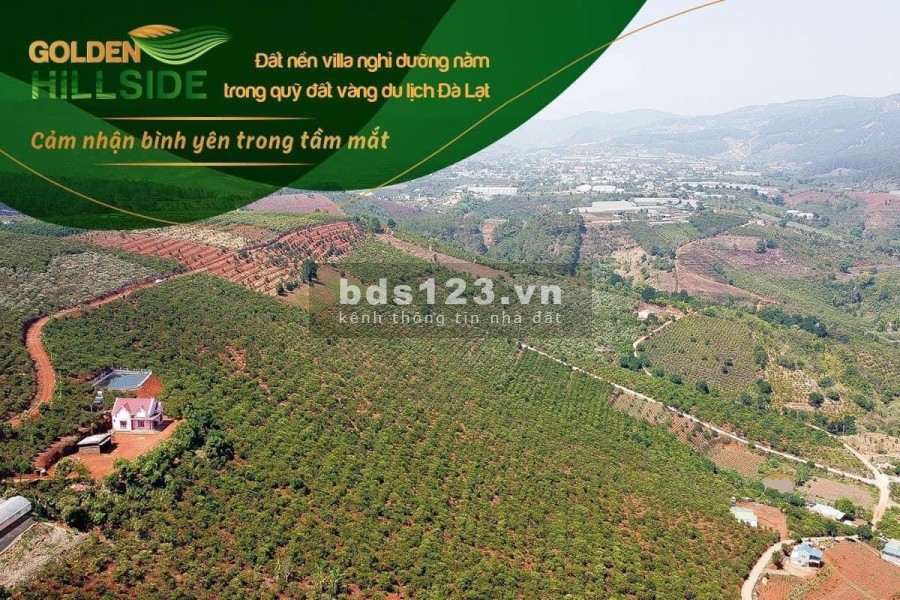 ĐẤT VÀNG CẠNH CAFÉ MÊ LINH CHỈ TỪ 3 TRIỆU/M2