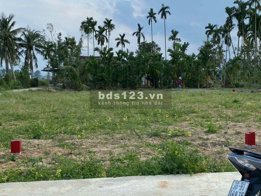 Đất hành Thuận Nghĩa hành thành phố Quảng Ngãi