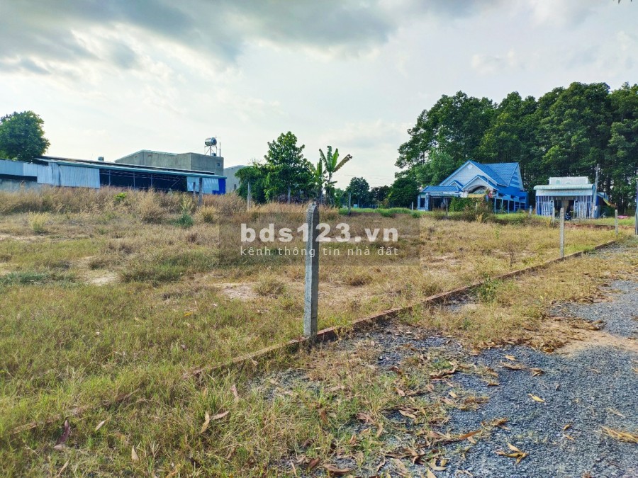 Cần bán hơn hai sào đất Dân xã Phước Bình-Long Thành 2446m2 có 100 thổ ngay cạnh Dự Án Phú Mỹ Gold City của tập đoàn Đất Xanh
